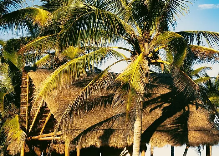 Hotel Mia